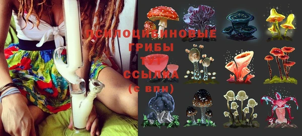 MDMA Premium VHQ Вяземский