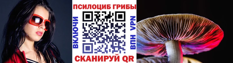 hydra вход  Красный Холм  Псилоцибиновые грибы Magic Shrooms 